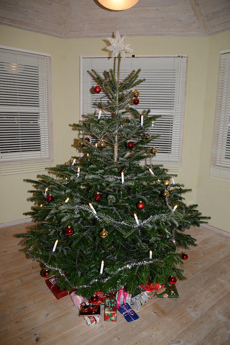 6 dec
